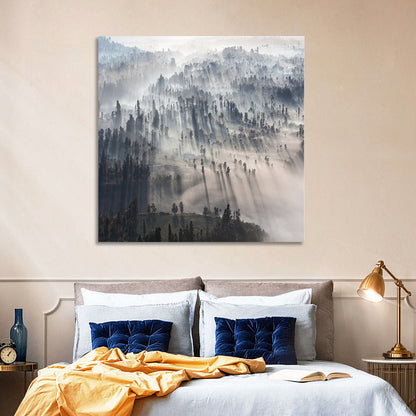 Misty Forest Sunrise Wall Art
