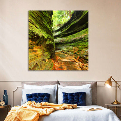Turkey Run State Park Canyon Wall Art