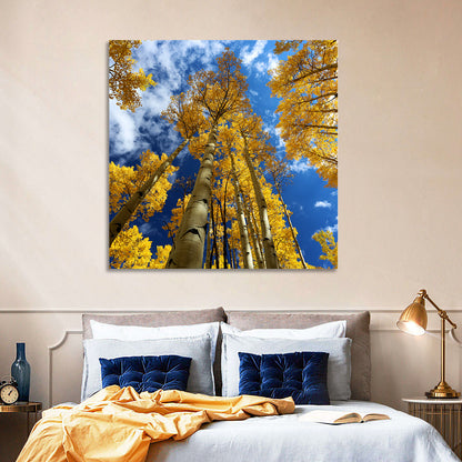 Aspen Trees Wall Art