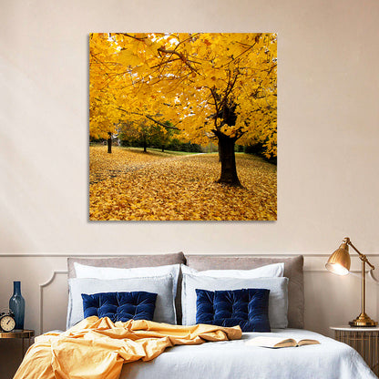 Baltimore Autumn Foliage Wall Art