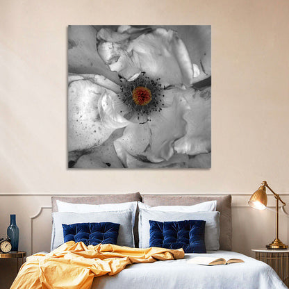 Rose Macro with Color Center Wall Art