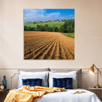 Kansas Wheat Fields Wall Art