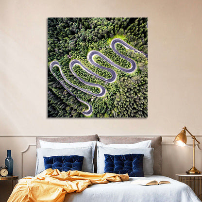 Serpentine Mountain Road Wall Art