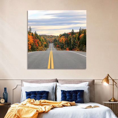 Algonquin Park Road Wall Art