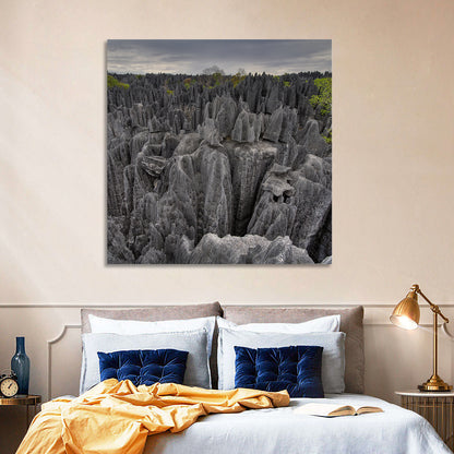 Tsingy De Bemaraha Pinnacles Wall Art