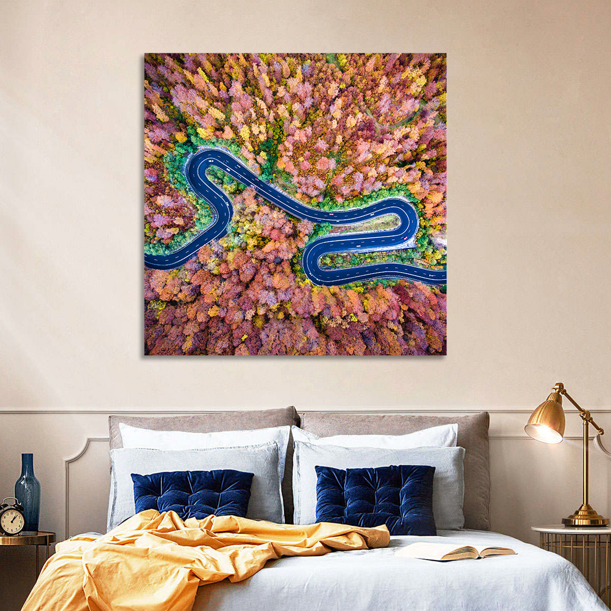 Aerial Winding Road Wall Art