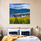 Okanagan Lake Vineyard, Kelowna Wall Art