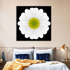High Contrast Daisy Mandala Pattern Wall Art