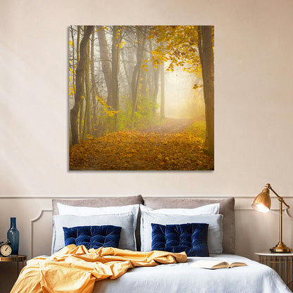 Cuyahoga Valley Autumn Path Wall Art