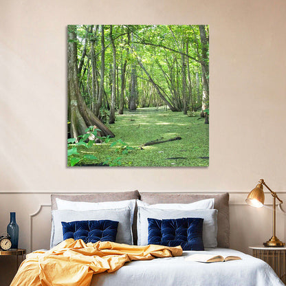 Summer Cypress Bayou, Louisiana Wall Art