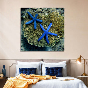 Blue Starfish Wall Art