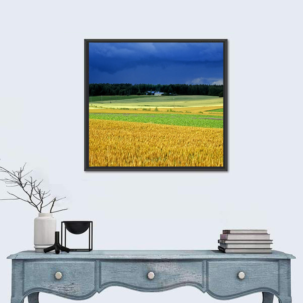 Cornfields Under Stormy Sky Wall Art