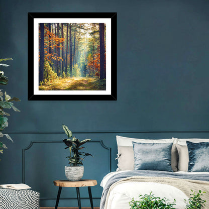 Sunlit Autumn Pine Forest Wall Art