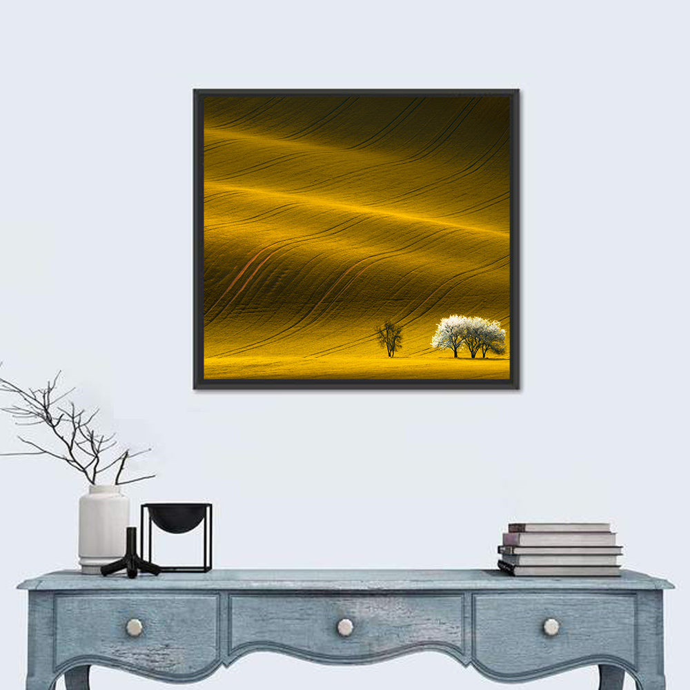 Golden Hour Rapeseed Field Wall Art