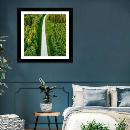 Blue Car on Forest Road Wall Art