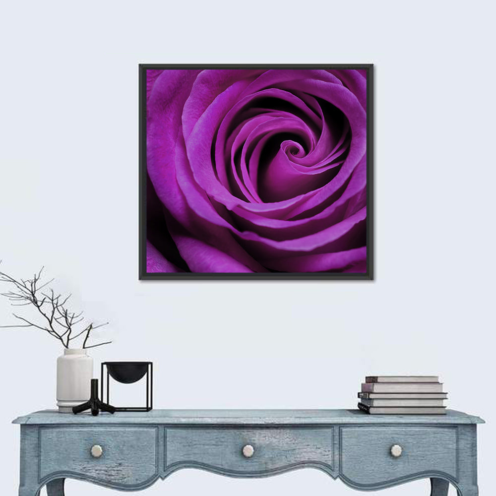 Purple Rose Close-up Wall Art