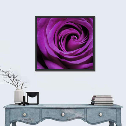 Purple Rose Close-up Wall Art
