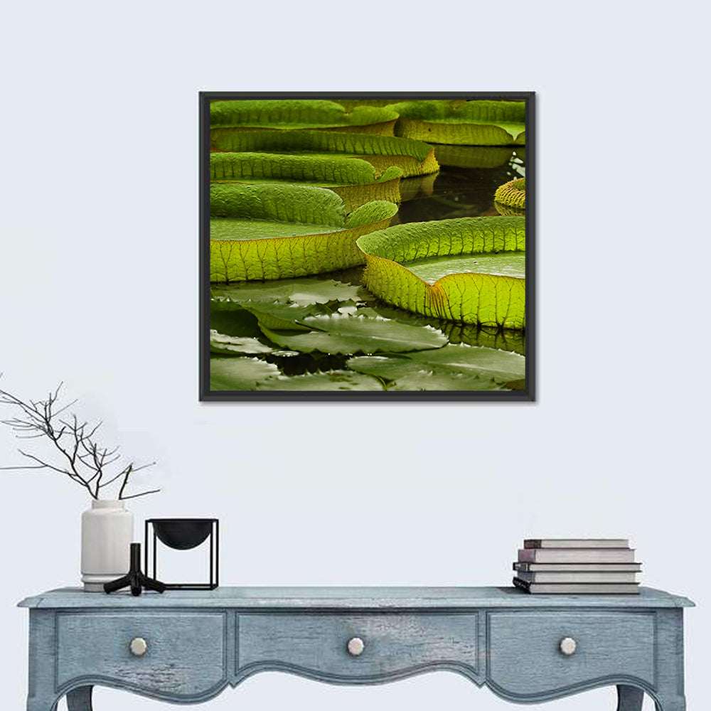 Giant Victoria Amazonica Lily Pads Wall Art