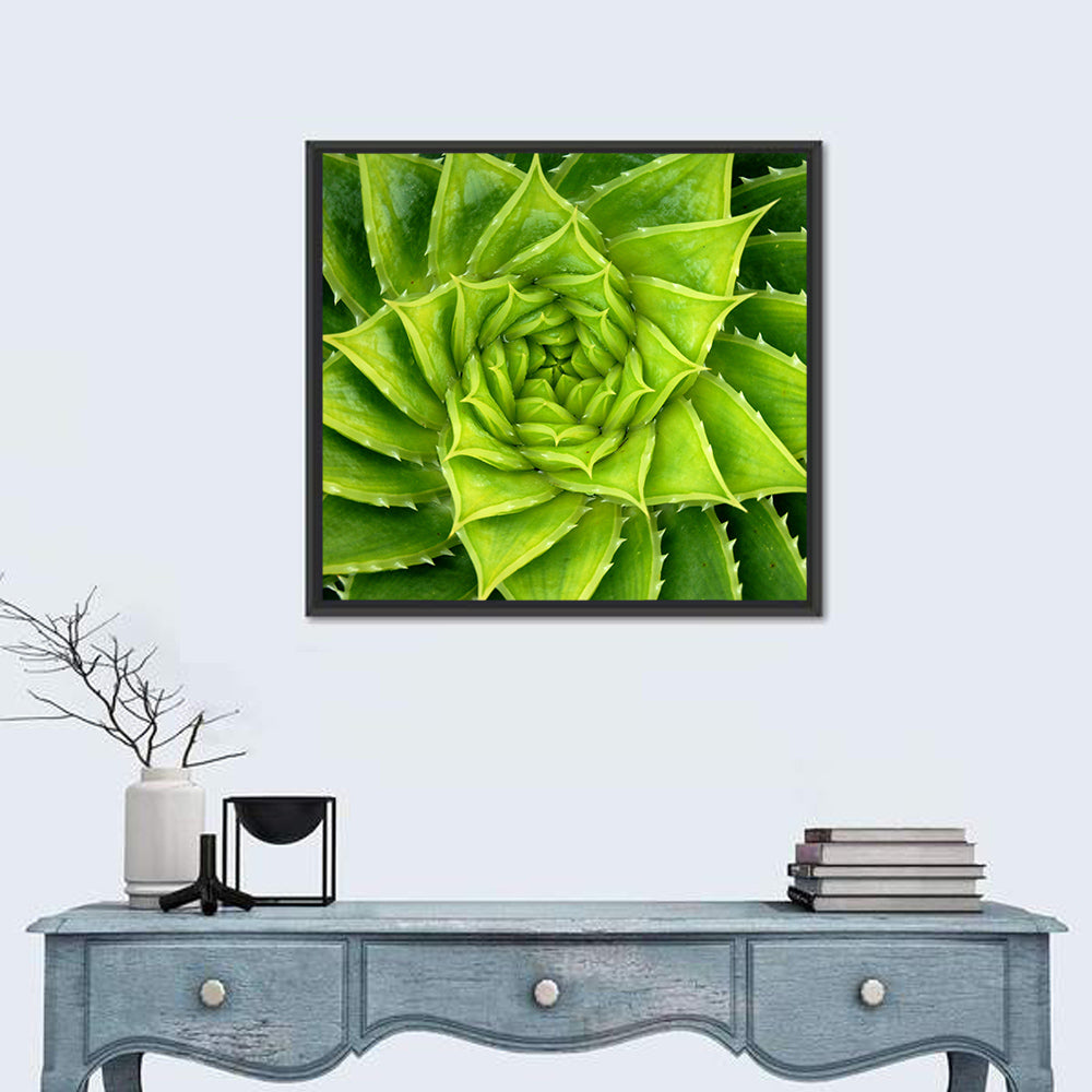 Spiral Aloe Succulent Wall Art