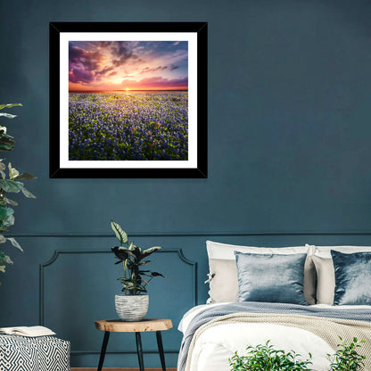 Texas Bluebonnet Sunset Wall Art