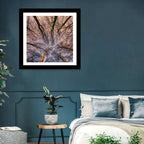 Misty Forest Canopy Wall Art