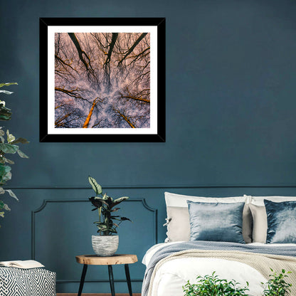 Misty Forest Canopy Wall Art