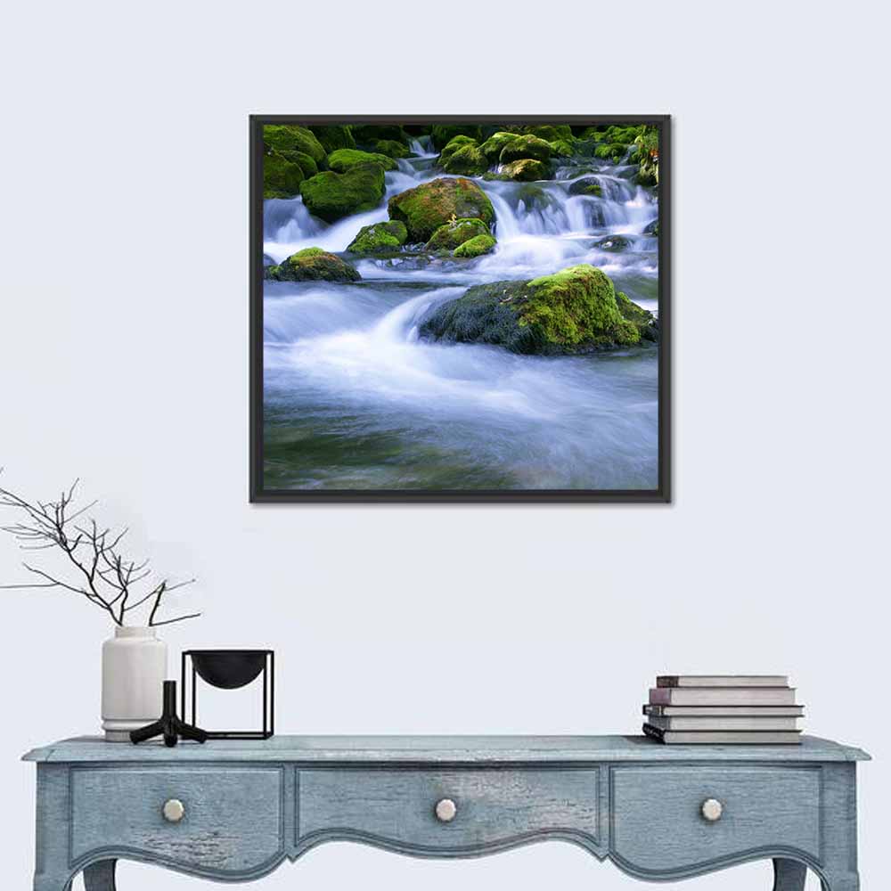 Mossy Forest Stream Wall Art