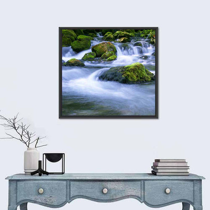 Mossy Forest Stream Wall Art