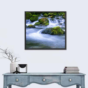 Forest Stream Wall Art