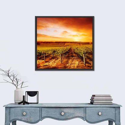 Australian Vineyard Sunset Wall Art