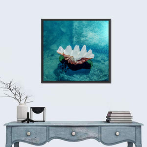 Beach Shell Wall Art