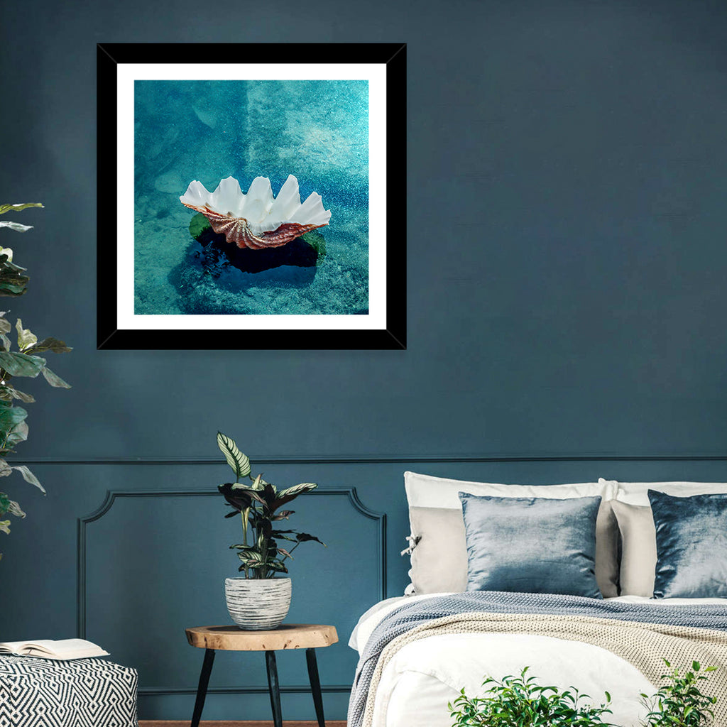 Giant Clam Shell Wall Art