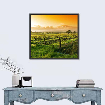 Barossa Valley Vineyard at Sunrise Wall Art