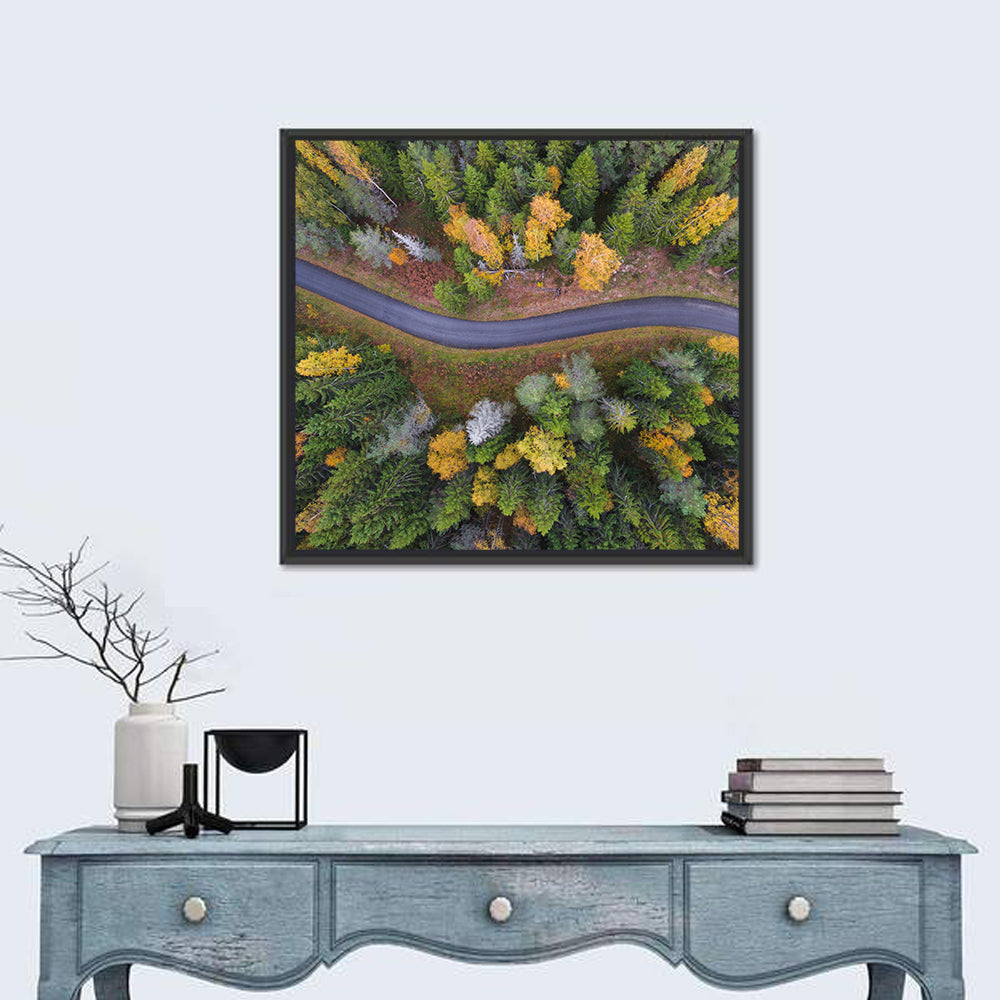 Aerial Autumn Forest Road Wall Art