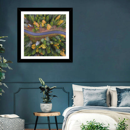Aerial Autumn Forest Road Wall Art
