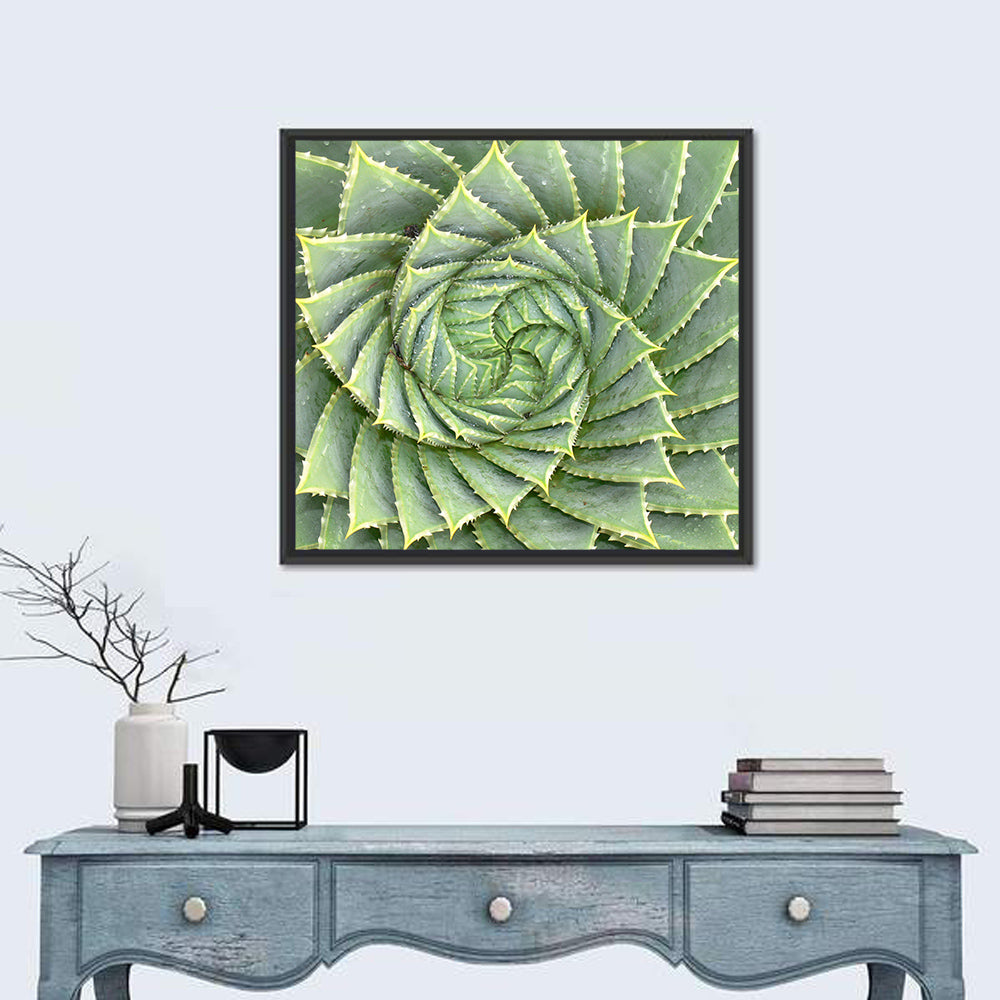 Spiral Aloe Close-up Wall Art