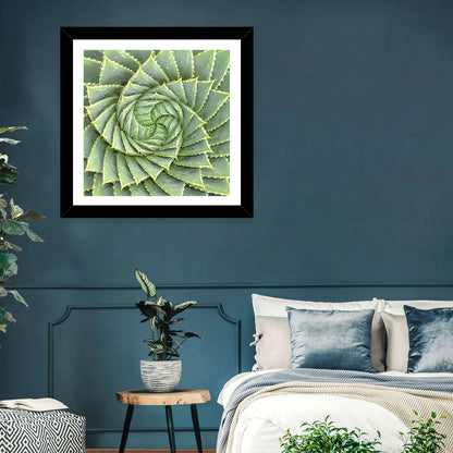 Spiral Aloe Close-up Wall Art