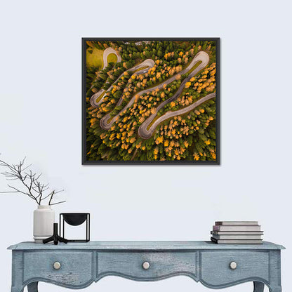 Aerial Curvy Forest Road Wall Art