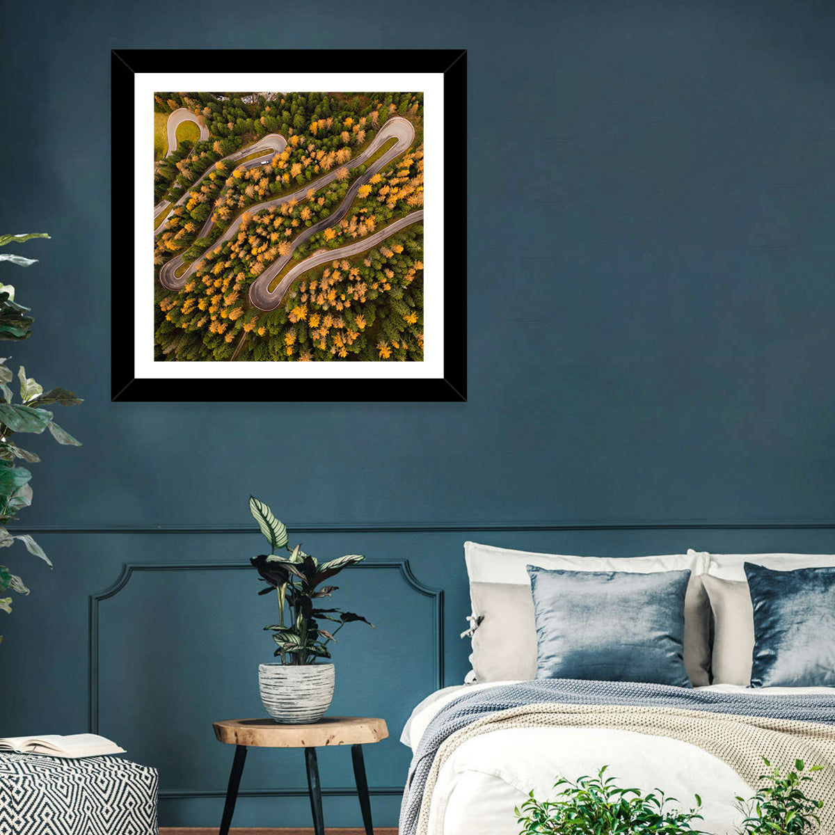 Aerial Curvy Forest Road Wall Art
