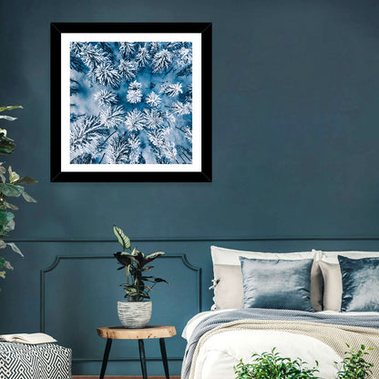 Aerial Snowy Evergreen Canopy Wall Art