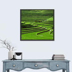 Lush Rice Terraces Wall Art