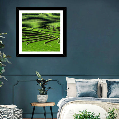 Lush Rice Terraces Wall Art