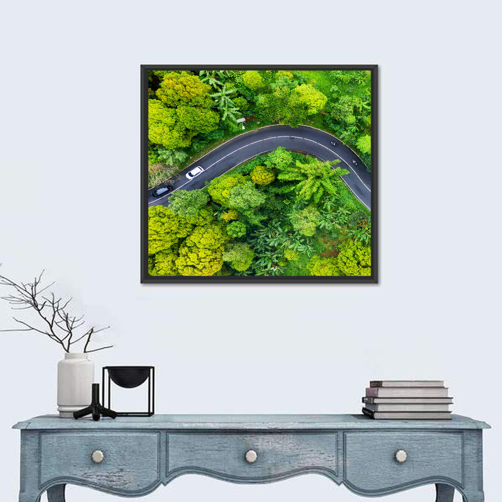 Winding Tropical Forest Road Wall Art