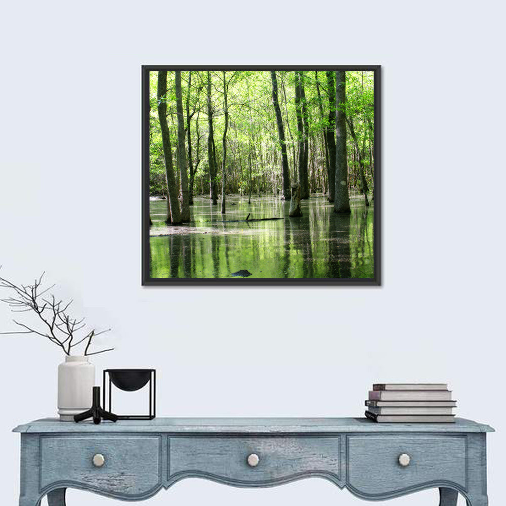 Sunlit Swamp Forest Wall Art
