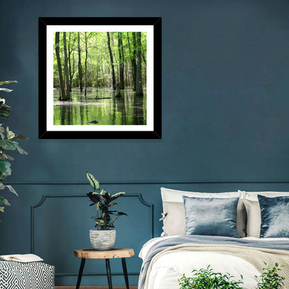 Sunlit Swamp Forest Wall Art