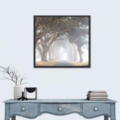 Misty Cypress Tunnel Wall Art
