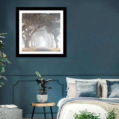Misty Cypress Tunnel Wall Art