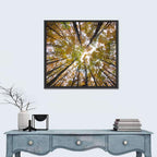 Autumn Forest Canopy Looking Up Wall Art
