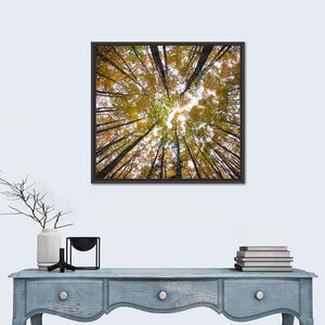 Forest Treetops Wall Art