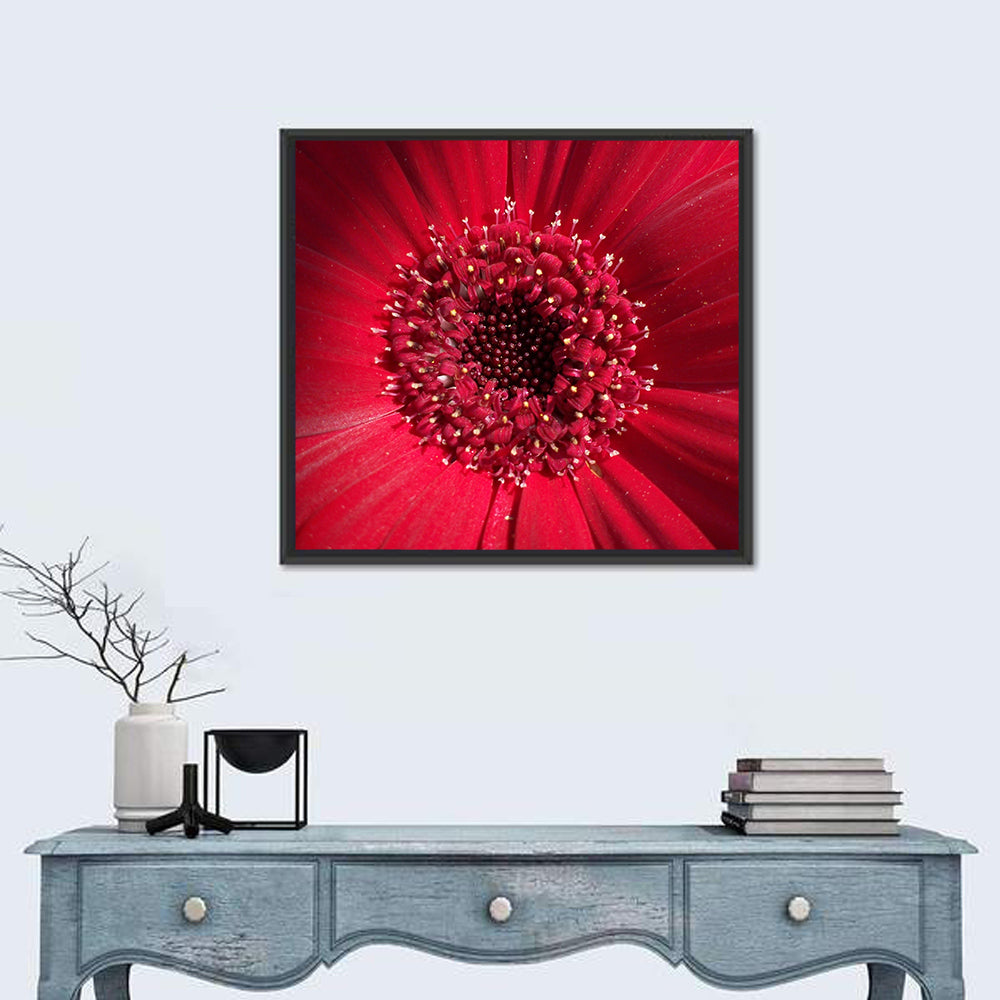 Red Gerbera Daisy Macro Close Up Wall Art